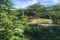 jobanzrealtyonline.com Industrial Lot for sale (1202 sqm) at San Dionisio, Parañaque City