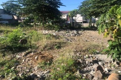 jobanzrealtyonline.com Industrial Lot for sale (1202 sqm) at San Dionisio, Parañaque City