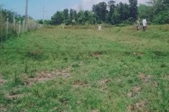 jobanzrealtyonline.com Lot property for sale (4300sqm) in Tiblong, San Fabian, Pangasinan