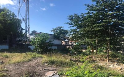 Industrial Lot for sale (1202 sqm) at San Dionisio, Parañaque City