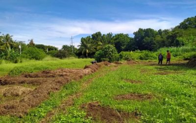 Lot property for sale (4300sqm) in Tiblong, San Fabian, Pangasinan