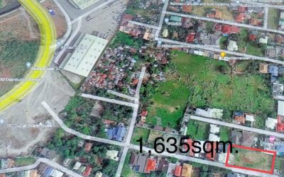 Industrial Lot  for Sale (1635sqm.) in Parañaque City